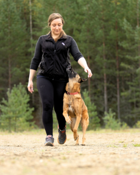 Saana Töttölän valmennusryhmät
