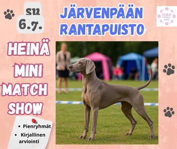 Heinä Mini Match Show su 6.7.2025 Järvenpään rantapuistossa