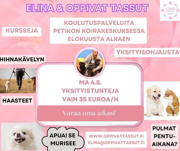 Petikon Koirakeskuksen avajaistarjous: ma 4.8. yksityistunnit puoleen hintaan!