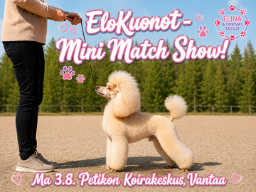 EloKuonot -  Mini Match Show 3.8.