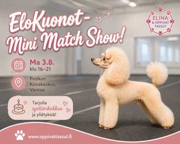 EloKuonot -  Mini Match Show 3.8.